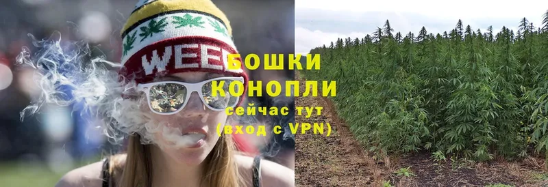 где купить   Подпорожье  кракен зеркало  Бошки Шишки White Widow 